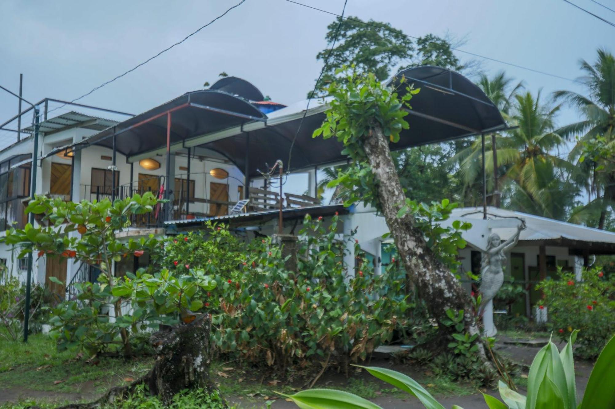 Hotel Pura Natura Tortuguero Bagian luar foto