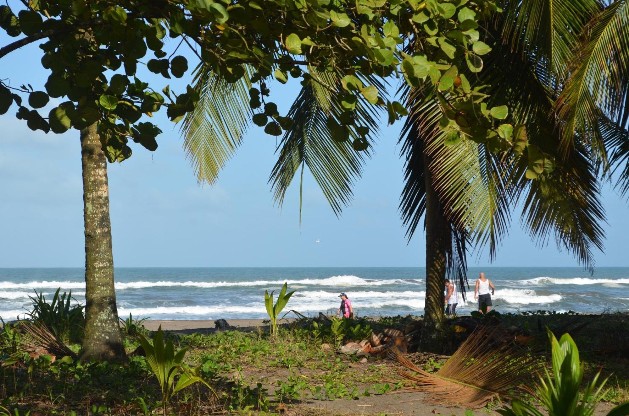 Hotel Pura Natura Tortuguero Bagian luar foto